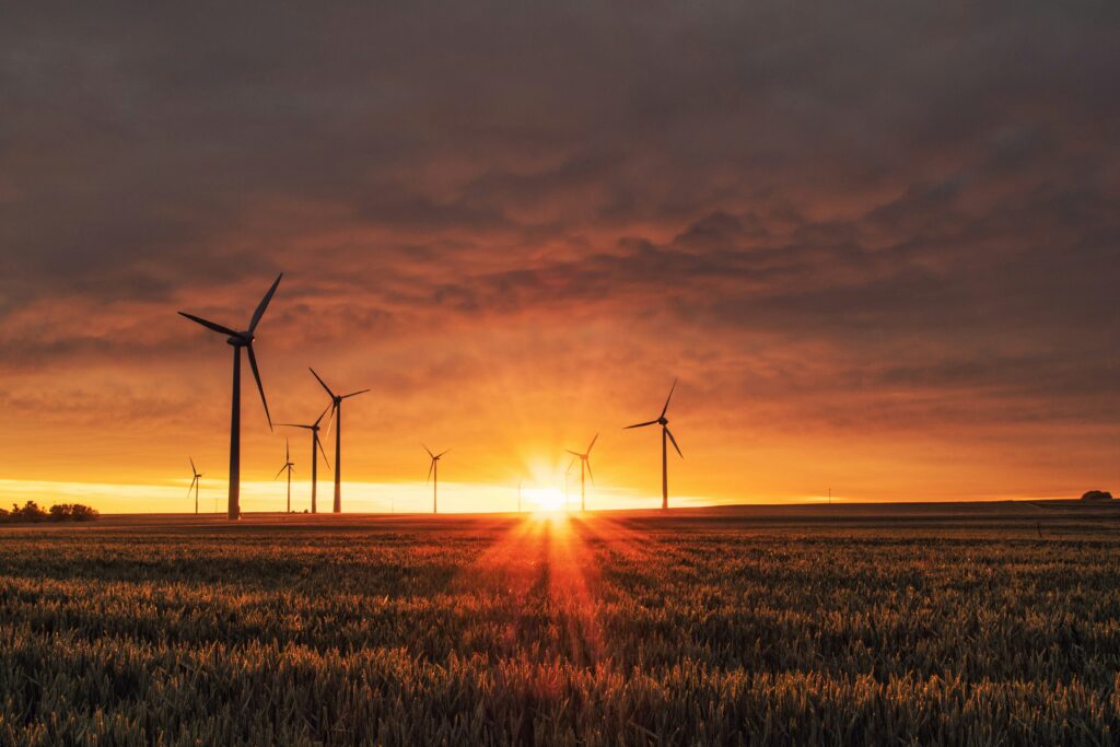 UK Environmental News August 2024 – Key Developments and Future Directions